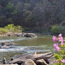 백화산둘레길 이미지