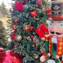 갈매기 참숯파티 이미지