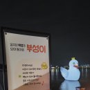 백조미디어 이미지