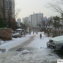 털실마트