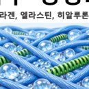 수원역365약국