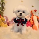 오파프부산 이미지