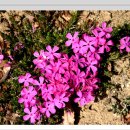 쌍책초등학교 이미지