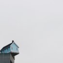 미드로 배우는 생활영어회화 이미지