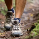 대구메디시스 이미지