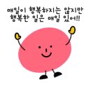 셀프카센타 이미지