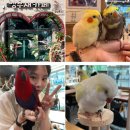 앵무세상 | 당진 삽교호 앵무새 카페 앵무세상 다녀온 후기