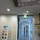 (주) 아이엔에스랩 | 부산 방탈출 꽃길 해운대 플레이포인트랩 캣츠아이 | 해운대 방탈출 성공 후기 및 주차