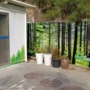 유성여고 화장실 이미지