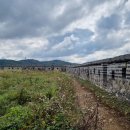 경상북도청 동문방면(풋살장) | [경기 광주/남한산성] 5코스 트레킹🏃‍♀️(+3,1,2,4코스+동서남북문 all) ▶상세 후기, 코스 비교, 추천