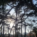 서울 송파구 석촌동 잠실한솔아파트 임장후기 (Feat. 리모델링 추진중)