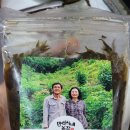 합송농장 네이버블로그