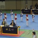 용인대성공태권도장 | 용인대 청파태권도 국기원 심사 후기: 빛나는 노력의 결실!