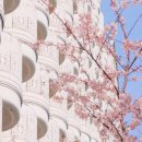 뉴프린스호텔 이미지