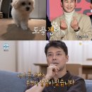 동엽에너지 스타뉴스