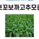 중앙종묘농약사 이미지