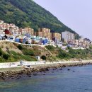 영도주단 이미지