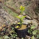 호연농장 이미지