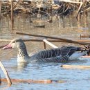 경안천습지생태공원 이미지