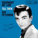 [올드팝] ♡ Tell Laura I Love Her - Ray Peterson 이미지