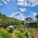 브레드쏭 이미지