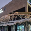 아라마루 카페 이미지