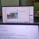 소망글로벌(주) | [WINDSOR Crew] 윈저 글로벌 대학생 앰버서더 윈저 크루 합격 후기&amp;활동 소개🍸