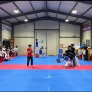 용인대 국가대표 부부태권도 이미지