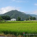 오동동033 이미지