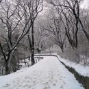 Cinema Paradise 이미지