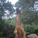 부산해양박물관 | 부산해양자연사박물관 방문후기 (부산해양자연사박물관리뉴얼 후기)