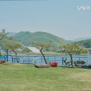 달빛아리수