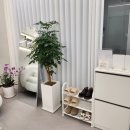 눈썹반영구(페이스아트) | 수원 틴트입술 와이앤브로우 수원점 생기없던 입술이 생글생글 살아나는 수원 입술교정
