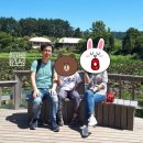 태안 천리포수목원 만리포해수욕장 태안여행 4