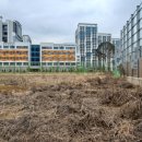 검단(병설)유치원 이미지