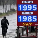 대신석유(주)삼성주유소 이미지