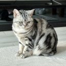 범어천로 지성학원 앞 이미지