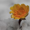 민속한의원 이미지