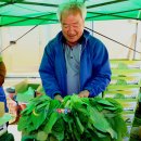 정자리농장 이미지