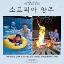 소르피아 양주 | [+1317] 양주 풀빌라 펜션_소르피아 양주_3박 4일 내돈내산 후기!!