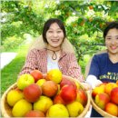플럼
