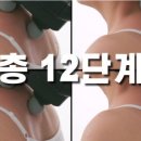 포헤드