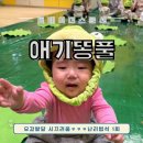 일산E마트 | 일산 이마트 트레이더스 애기똥풀 문센 후기 6개월 아기