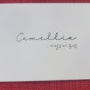 꽃집;동백