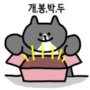 용인대 K-tigers 태권도장 이미지