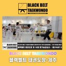 K-블랙벨트 태권도장 이미지