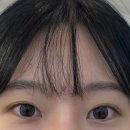 모모엘 | 배곧 속눈썹 전문샵 모모엘 스칼프&브로우 속눈썹펌 후기