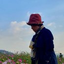 맥도생태공원 이미지