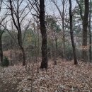 지천면사무소 이미지