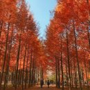 11월 3일 월요일 간추린 뉴스와 날씨 이미지